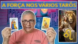 A FOR&Ccedil;A NOS V&Aacute;RIOS TAR&Ocirc;S