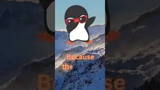 Penguin Giggles for Little Wiggles 🐧😆 3