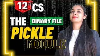 The Pickle Module | Binary File | File Handling | Class 12 CS