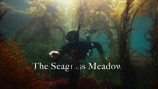 I Explored Earth's Most Forgotten Ecosystem
