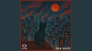 Lazy Night