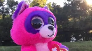 Beanie boo music video: Try Everything