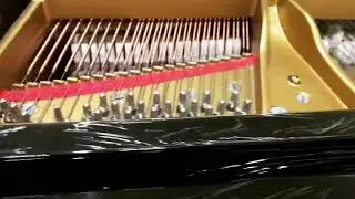 Grand Piano Steinway and Sons Model C
