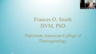 Good Dog Webinar: Canine Health Info Center - Ins & Outs of the Orthopedic Foundation for Animals