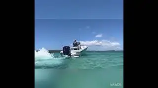 BONITO BOATS AUSTRALIA 500 &560 IN ACTION