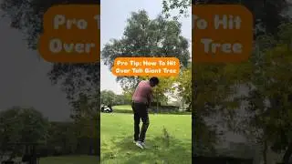 Pro tip of how to hit over the giant tree! #golf #golfcoach #golftips #golflife ⛳️