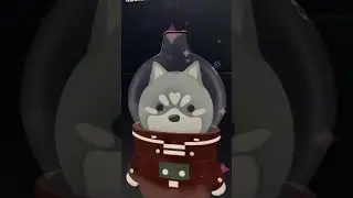 zbood husky pod 8000 puff