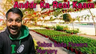 Upper Assam ka Sabse Bada Nursery | Aaj Ka Pure Din Ka Vlog 🌱✨”