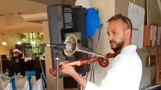 Dan Moisa - Polcă 2022