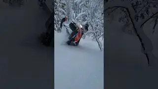 Чуть не дотянул #extremewinter #wintersport #snowmobile #зимнийэкстрим #снегоходы #lynx #boondocker