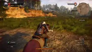 The witcher wildhunt Romania livestream