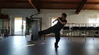 Kung Fu Lezione 2