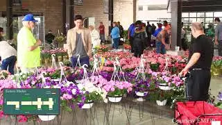 Eastern Market Detroit SHED 5 - Easter Holiday