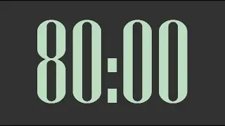 80 Minute Timer - 5 Second Start Delay