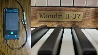 Tanya Bouman - Psalm 51:6 by Cor van Dijk