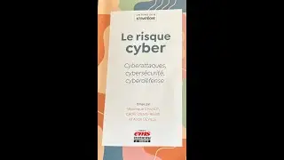 Pr&eacute;sentation du livre Le risque cyber de la collection 