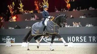 Cum Laude's Grand Prix Bloodlines, 2023 - FEI Dressage Stallion at Stud at Iron Spring Farm