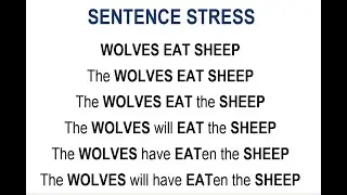 13) Sentence Stress: Important Words Carry the Day