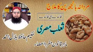 Salab misri se kamzori ka ilaj in Urdu/Hindi Salab Misri ke Fayde | Salep Orchid Benefits