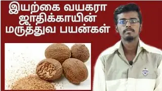 இயற்கை வயாகரா ஜாதிக்காயின் மருத்துவ பயன்கள் .....ஜாதிக்காய் யாரெல்லாம் எடுத்துக்கொள்ளக்கூடாது???