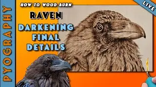 #Pyrography: Essential Tips for Wood Burning the Final Details of a Raven