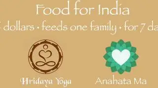 2nd Food Distribution for Families in Kerela South India