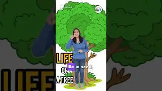 🌳✨Life of a Tree- A beautiful and meaningful rhyme for kids! 🎶#rhymes#short#diy#nurseryrhyme#school