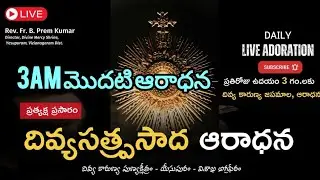 3am మొదటి ఆరాధన - ప్రత్యక్ష ప్రసారం, శ్రీయేసు దివ్యకారుణ్య పుణ్యక్షేత్రం, శాఖఅగ్రపీఠం.