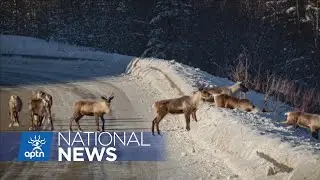 &lsquo;We&rsquo;re definitely worried&rsquo;: Mining proposal move forward | APTN News