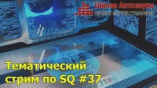 Тематический стрим по SQ #37