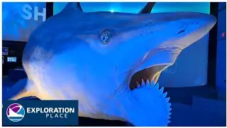 Exploration Place Science Center Walk Through Tour Wichita Kansas with Sharks Exhibit