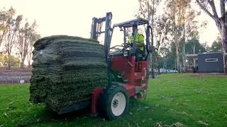 Green Healthy Lawn in Winter with Troy