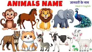 Animals Name in Hindi and English | जानवरों के नाम | Learn Animals for Kids | Animals Name with pic