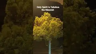 St. John 14:24-26 #dailyscripture #yahweh #yahshua #elohim #holyspirit  #messiah #biblereading