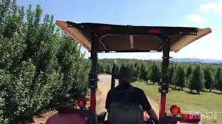 Mercier Orchards Apple Picking Day Blue Ridge Georgia