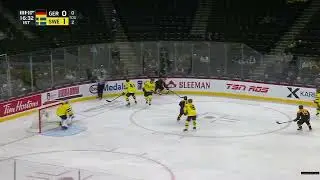 David Lewandowski vs SWE - Forecheck Causes TO