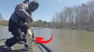 Back to back catches! Stained Waters, Big Catches: Spring Fishing on Lake Oconee