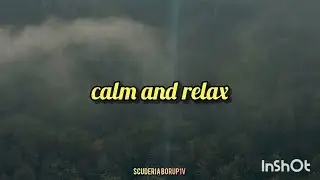 1 Hour Forest Sounds & View | Italian Nature | Calm, Rest, Relax & Meditation Video |