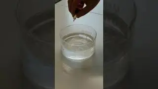 Lithium-Metall reagiert mit Wasser