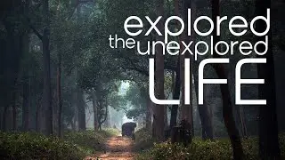 Unexplored Nature - Dudhwa - Jasbir nagar