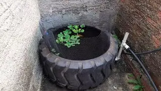 Laguinho com Pneu de Trator