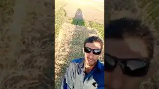 Macho Alfa Gamer #gamer #machoalfa #agricultura