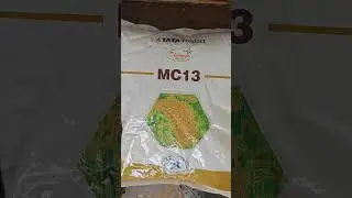 tata MC13 Hybrid dhan (120din)