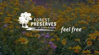 Forest Preserves of Cook County Feel Free PSA
