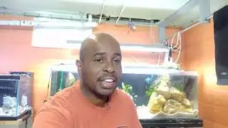 seachem tidal 55 update and some talk about the worth of 10 gallon tanks