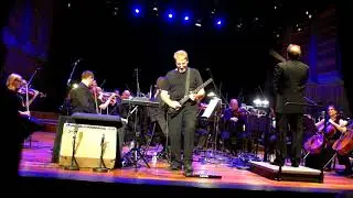 Orchestral Tubular Bells live at Queen Elizabeth Hall, London - Steve Hillage solo - June 12th, 2018