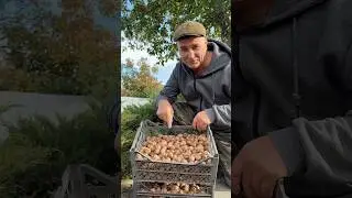 ДОМАШНЯЯ ВИАГРА из 6 ингредиентов &ndash; результат вас УДИВИТ!