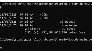 Starting with Go Coding on Windows (1)
