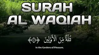 Serene Recitation | Faith and Reflection &ndash; Surah Al-Waqiah