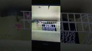 Osrs afk agility